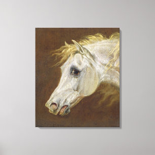 Head of a Grey Arabian Horse (oil on canvas on pan Print