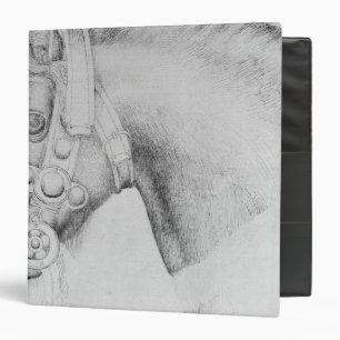 Head of a horse, from the The Vallardi Album Binder