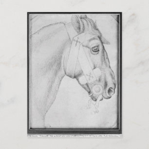 Head of a horse, from the The Vallardi Album Postcard