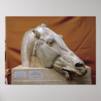 Head of a Horse of Selene
