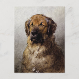 Head of a Leonberger Dog Painting Postcard