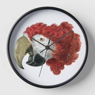 Head of a Macaw (1725–1792) Aert Schouman Clock