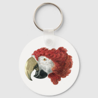 Head of a Macaw (1725–1792) Aert Schouman Keychain
