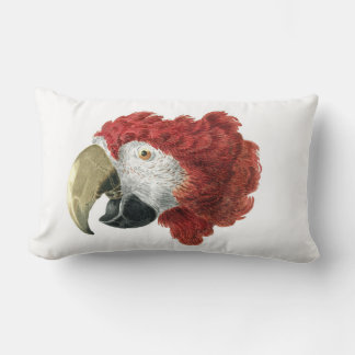 Head of a Macaw (1725–1792) Aert Schouman Lumbar Pillow