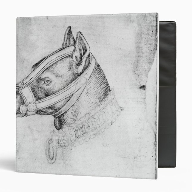 Head of a muzzled dog binder (Front/Inside)