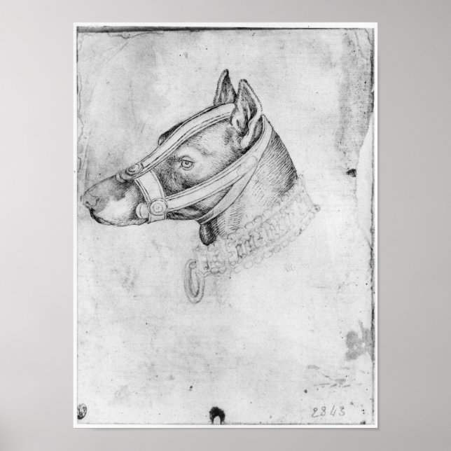 Head of a muzzled dog poster (Front)