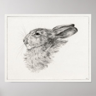 Head of a rabbit (1821) Jean Bernard.  Poster