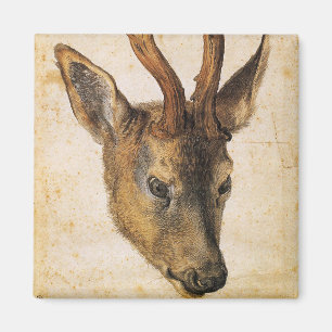 Head of a Stag (Wild Animal) (by Albrecht Durer) Magnet