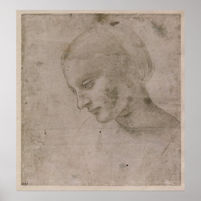 Head of a Young Woman Poster (Front)