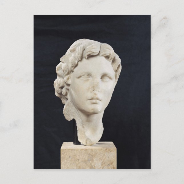 Head of Alexander the Great Postcard (Front)