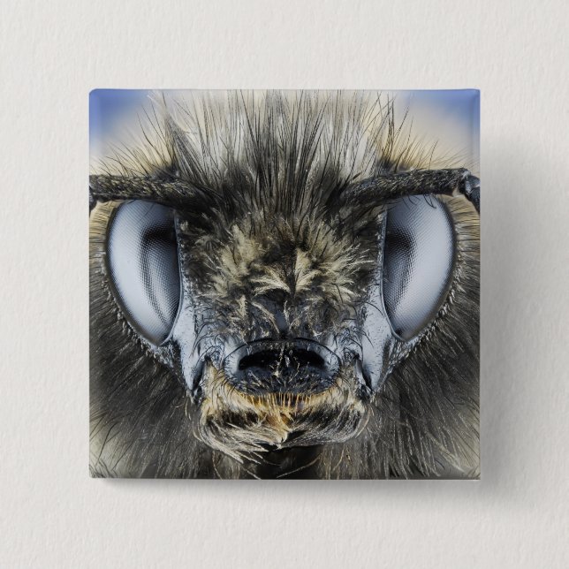 Head of bumblebee 2 inch square button (Front)