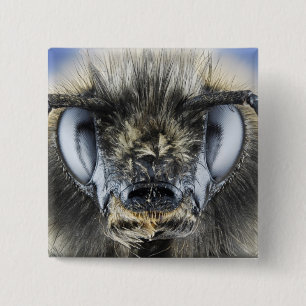 Head of bumblebee 2 inch square button