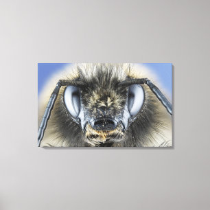 Head of bumblebee canvas print