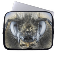 Head of bumblebee