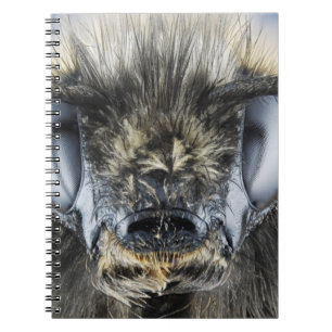 Head of bumblebee notebook