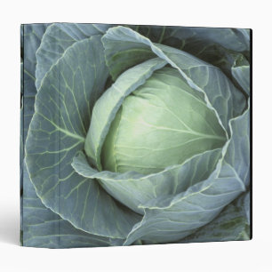 Head of cabbage with drops of water binder