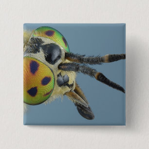Head of deer fly 2 inch square button