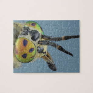 Head of deer fly jigsaw puzzle