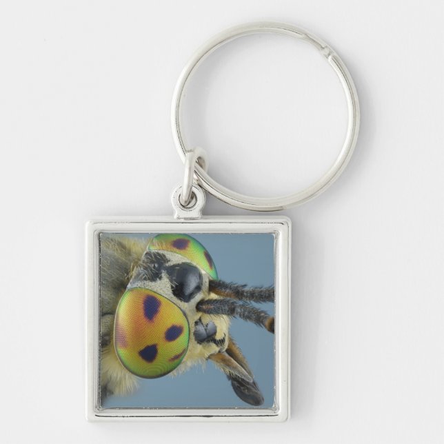 Head of deer fly keychain (Front)