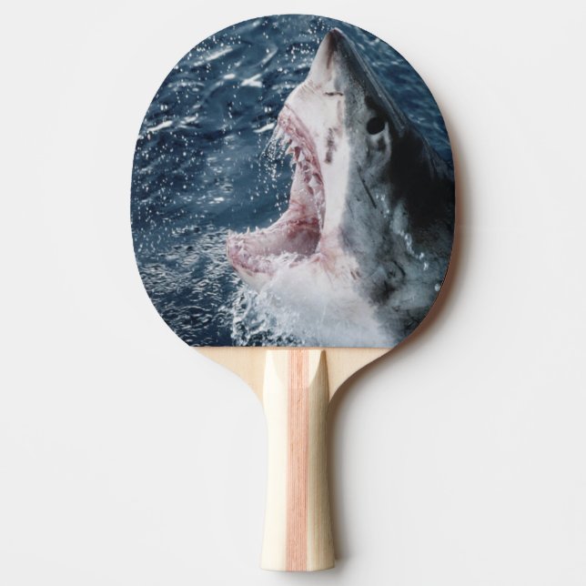 Head of Great White Shark Ping Pong Paddle (Front)