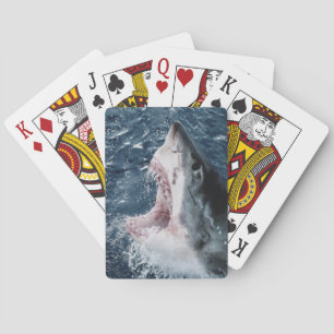Head of Great White Shark Playing Cards