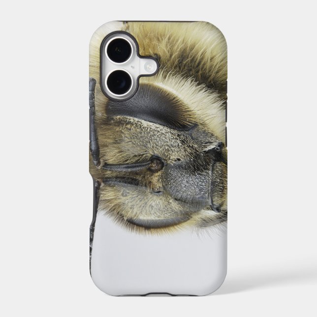 Head of honeybee (Back)