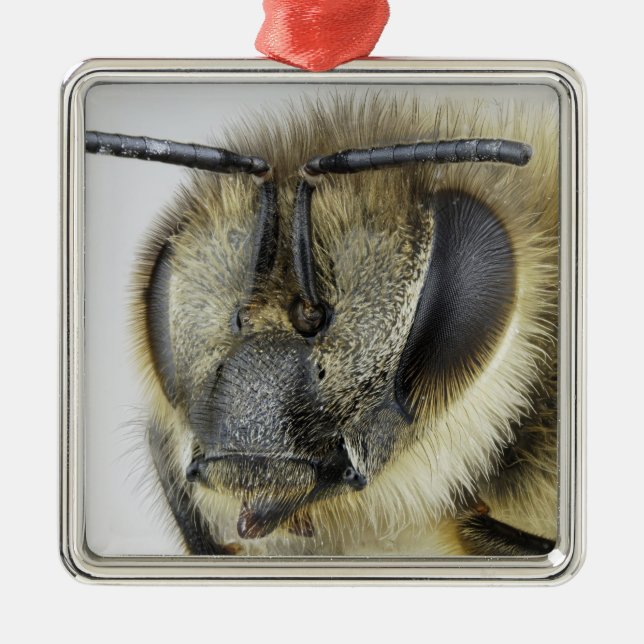 Head of honeybee metal ornament (Front)