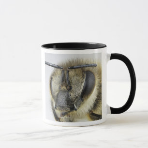 Head of honeybee mug