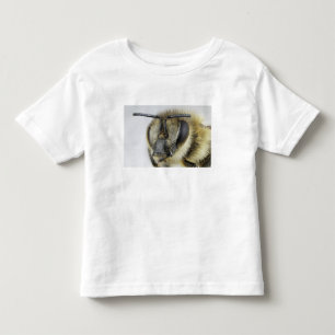 Head of honeybee toddler t-shirt