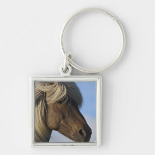 Head of Icelandic horse, Iceland Keychain