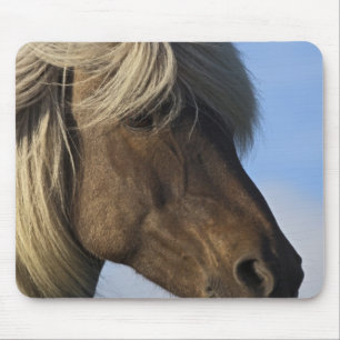 Head of Icelandic horse, Iceland Mouse Pad