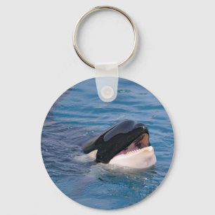 Head of killer whale keychain