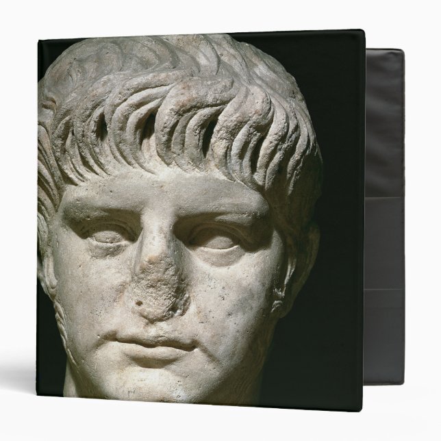 Head of Nero Binder (Front/Inside)