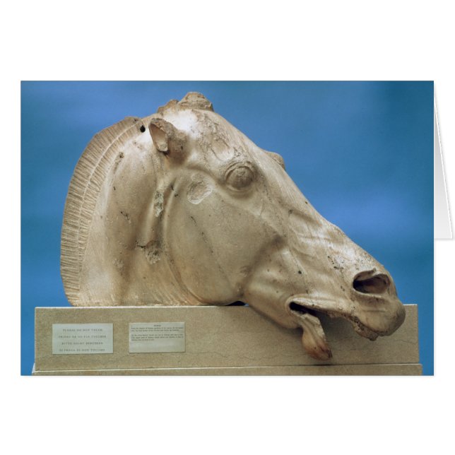 Head of one of the horses of Selene (Front Horizontal)