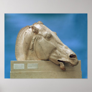 Head of one of the horses of Selene Poster