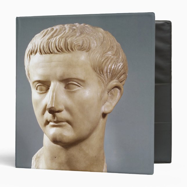 Head of the Emperor Tiberius Binder (Front/Inside)