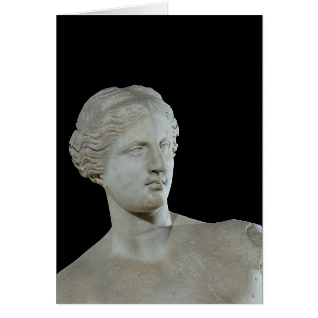 Head of the Venus de Milo, c.100 BC (Front)
