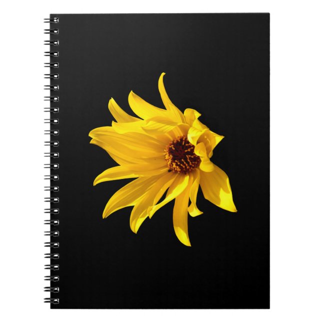 Head of yellow daisy Helenium Spiral Notebook (Front)