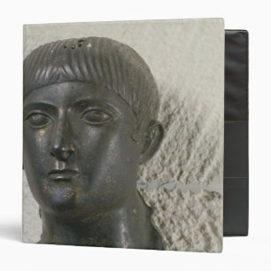 Head of young man, aka 'The Young Aquitaine Binder