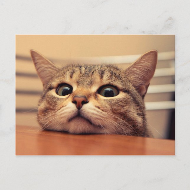 Head on table postcard (Front)