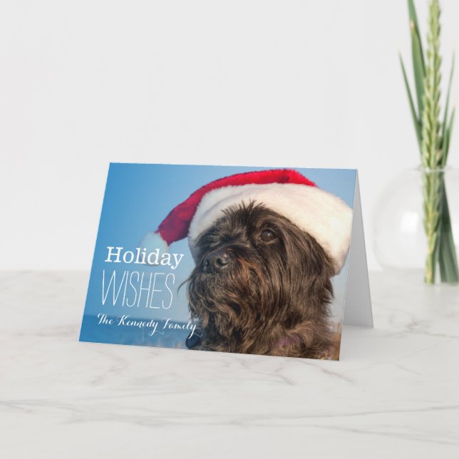 Head portrait of cairn terrier holiday card (Front)