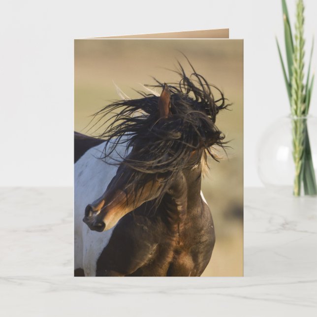 Head Shake Wild Horse Greeting Card (Front)
