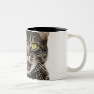 Head shot of a male domestic tabby cat licking Two-Tone coffee mug
