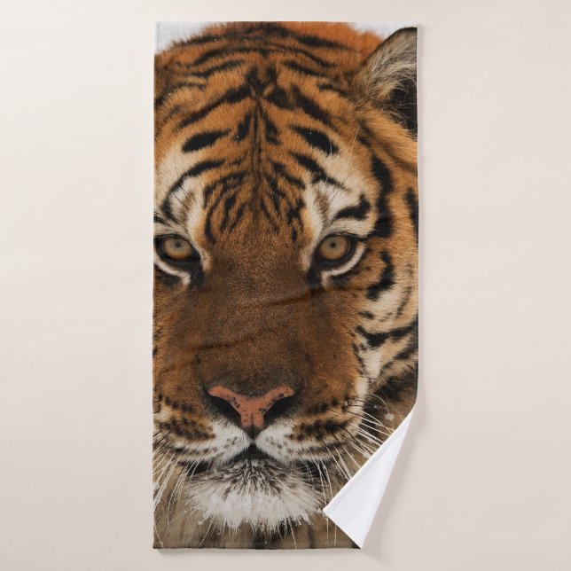 Head Shot of Siberian Tiger Bath Towel (Bath Towel)