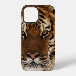 Head Shot of Siberian Tiger iPhone 12 Case