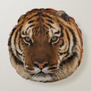 Head Shot of Siberian Tiger Round Pillow