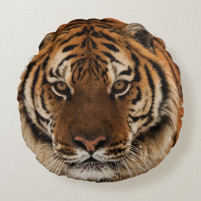 Head Shot of Siberian Tiger Round Pillow (Front)