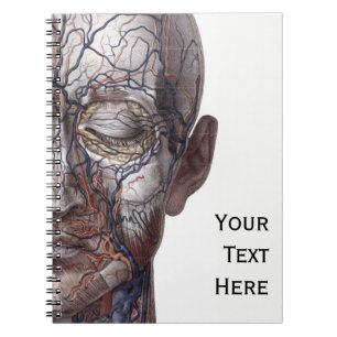 Head Veins and Muscles Notebook