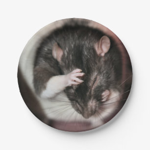 Headache Paper Plate