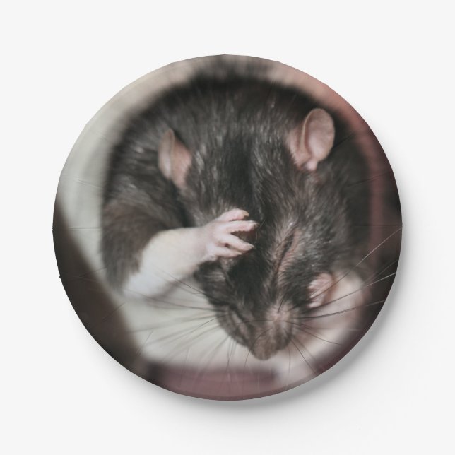 Headache Paper Plate (Front)
